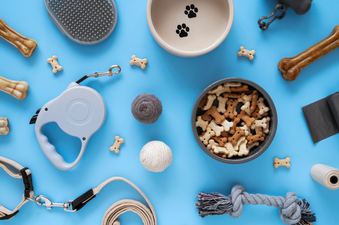 10 Must-Have Dog Accessories for Every Pup