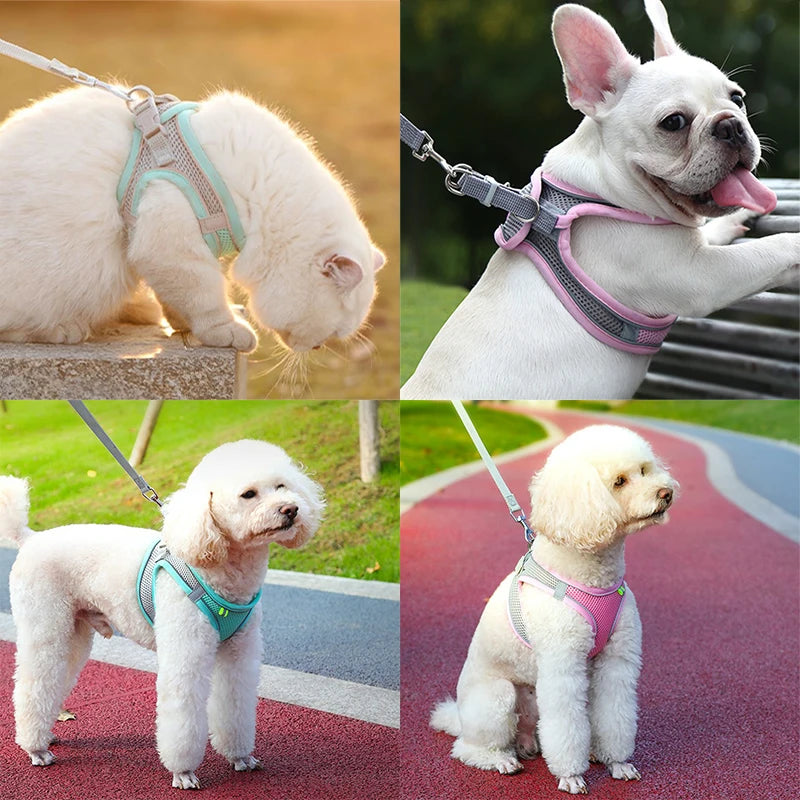 Pet Harness Vest And Leash Set