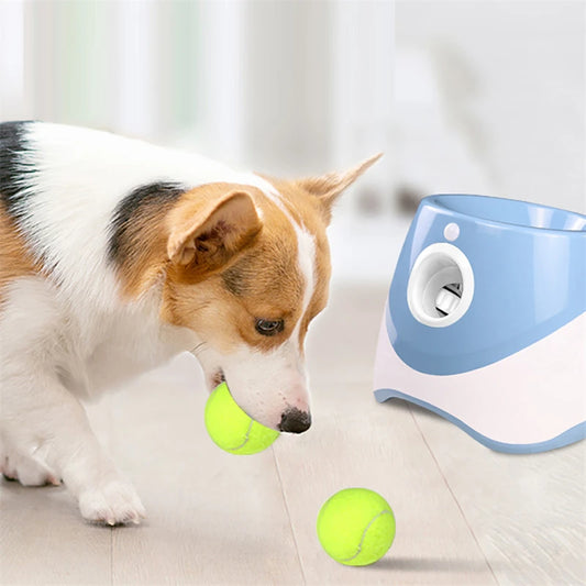 Automatic Dog Tennis Launcher Toy