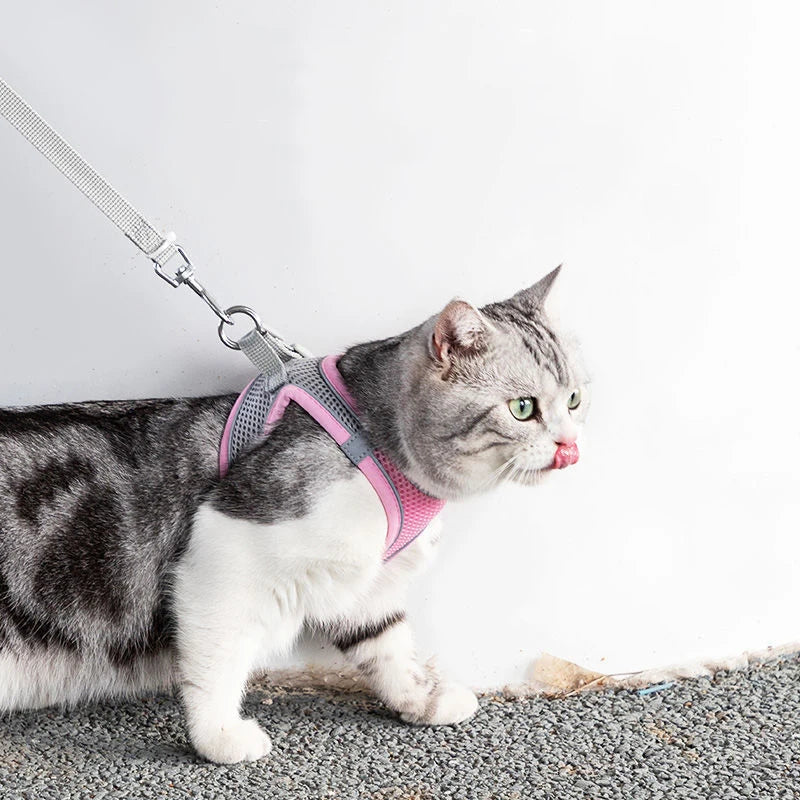 Pet Harness Vest And Leash Set