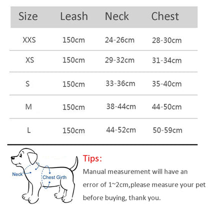 Pet Harness Vest And Leash Set