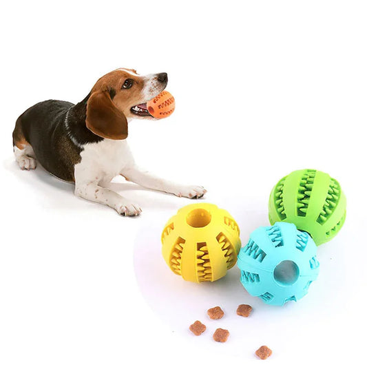 Dog Chew Bite Training Ball