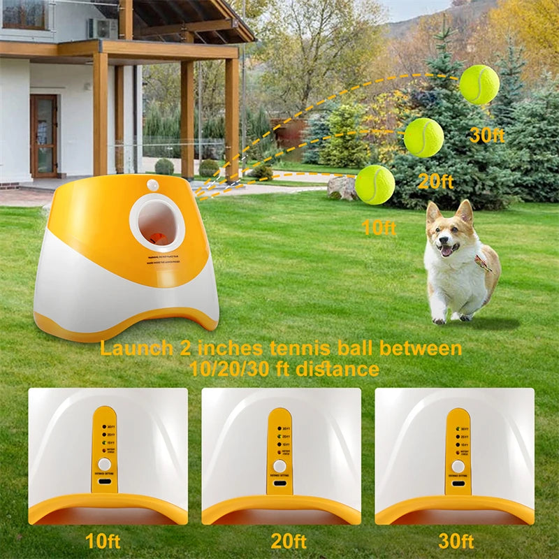 Lanciare Tennis per Cani Automatico