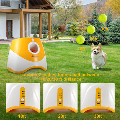 Lanciare Tennis per Cani Automatico