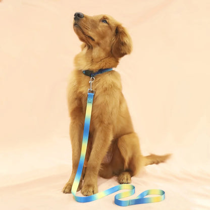 Adjustable Leash In Vibrant Colors