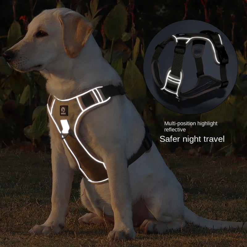 No Pull Dog Harness