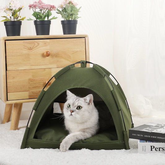 Premium Cat Tent House