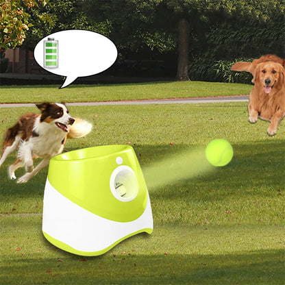 Lanciare Tennis per Cani Automatico